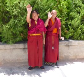 Friendly monks